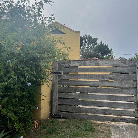 Ferienwohnung Proa Amarilla Punta del Este Exterior foto